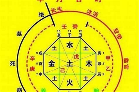 喜木命|生辰八字算命、五行喜用神查询（免费测算）